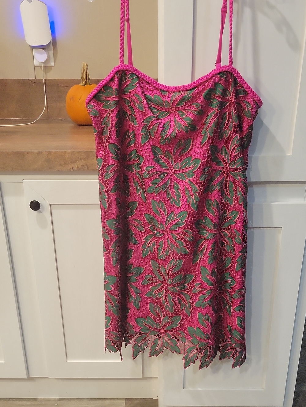 Alex Marie Pink and Green Floral Lace Slip Dress